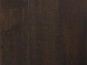 Mediterranean Santolina 8 x Random Length